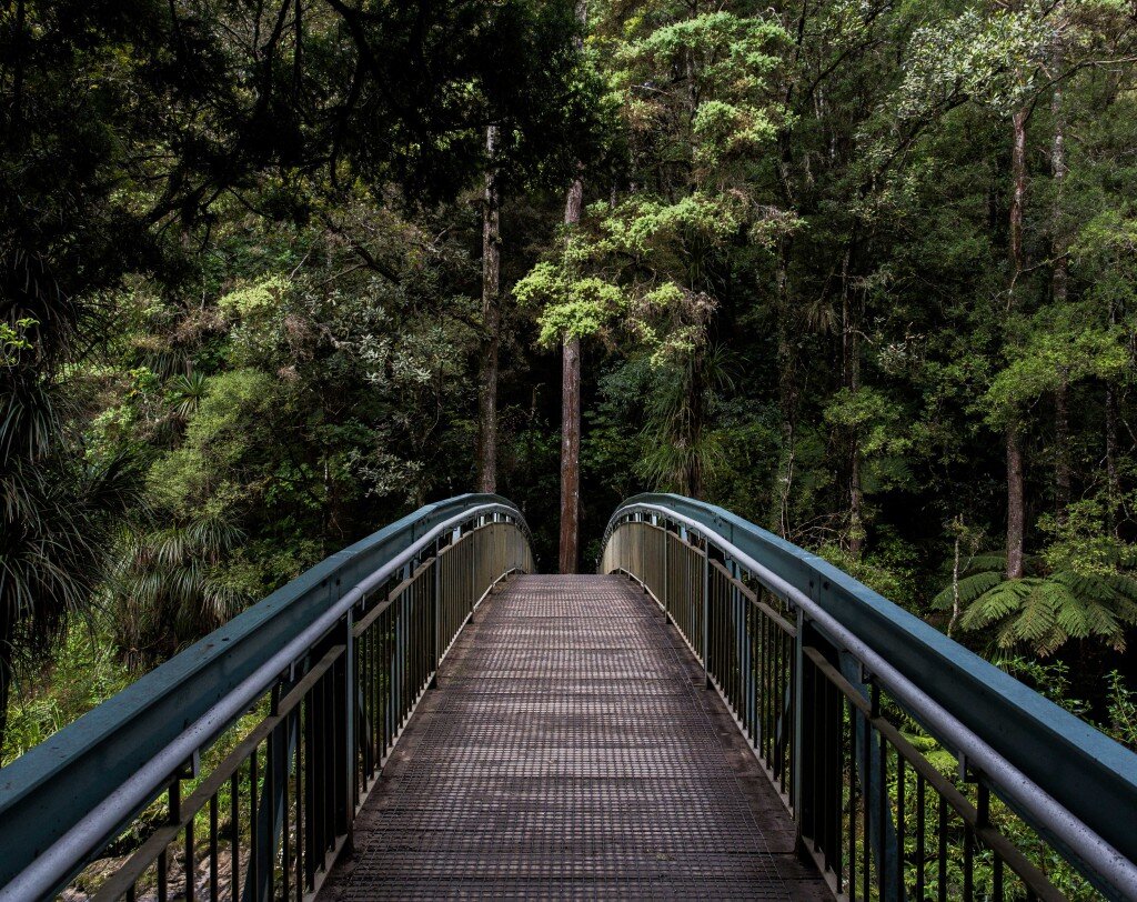 A bridge leading into the wilderness