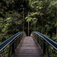 picture of a bridge by Tim Swaan