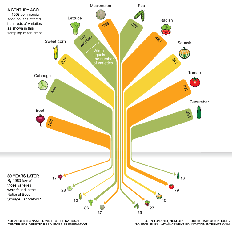 Considering Spiritual and Ecological Diversity on Earth Day